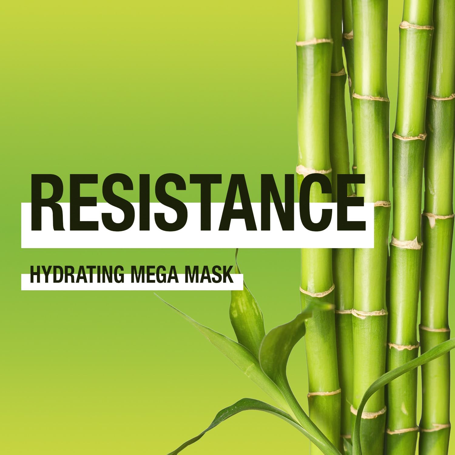 Inoar Résistance Fibra de Bambu Máscara Capilar 1000 ml