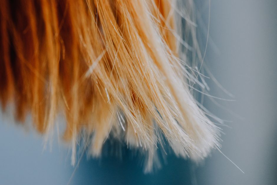 Benefícios de Usar Shampoo Matizador